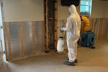 chemical spray after mold remediation