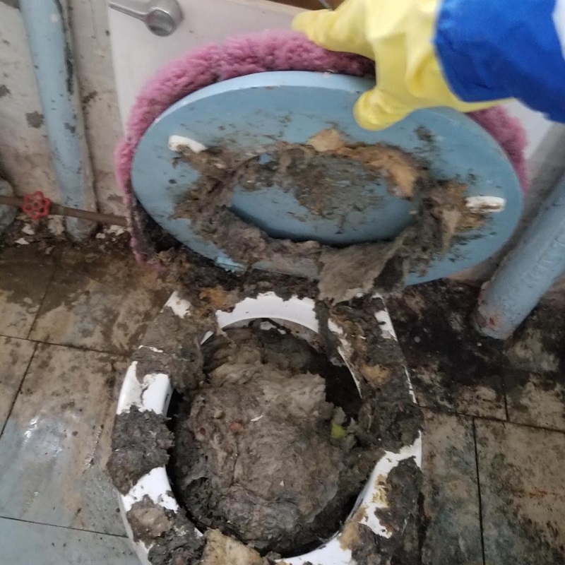 sewer backup into bathroom