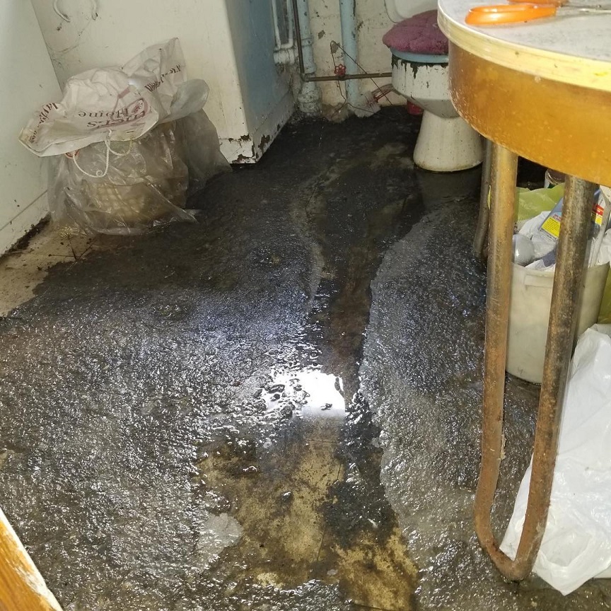 sewage leak in basement