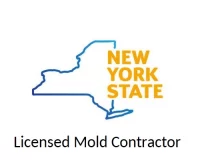 Licensed Mold Contractor